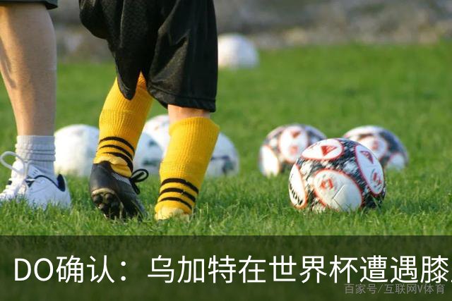 DO确认：乌加特在世界杯遭遇膝盖韧带重伤，预计面临长期缺阵